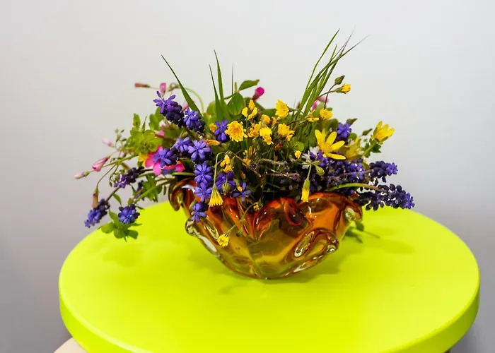 Lavender, Lighthouse, Sunrise - Kuca&more House No13 아파트 크르크